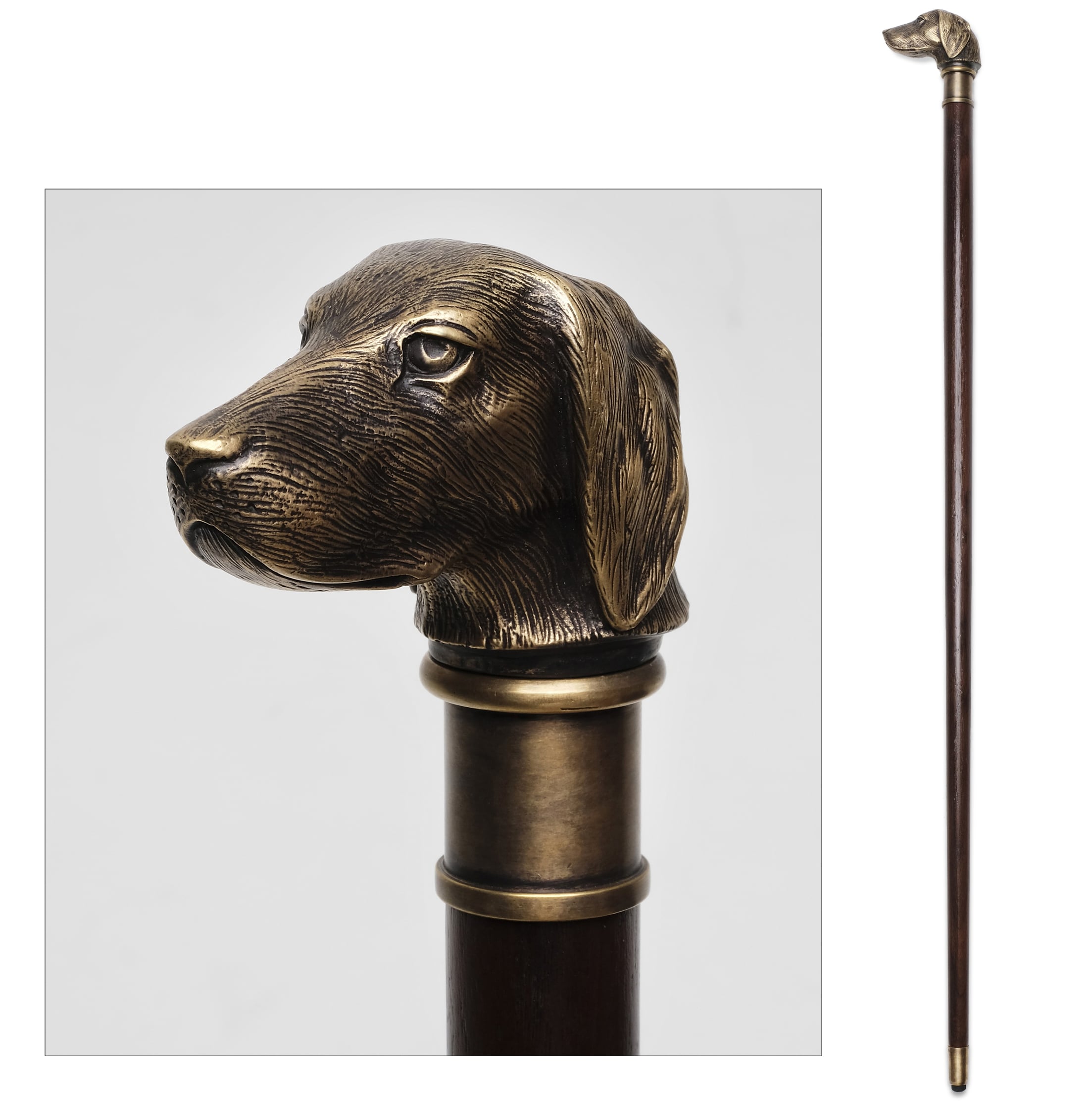Dog Walking Stick