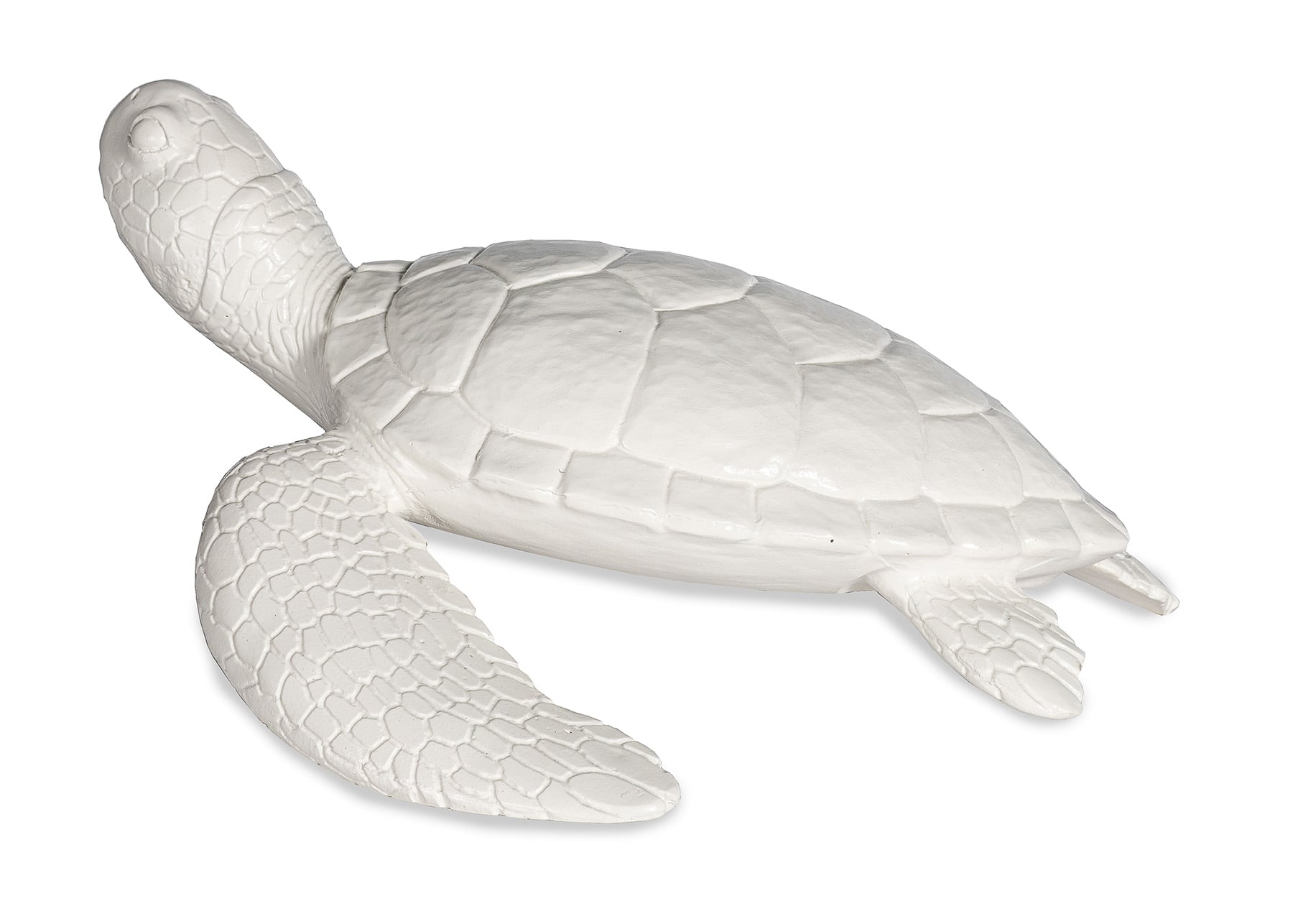 Shelldon Tortoise