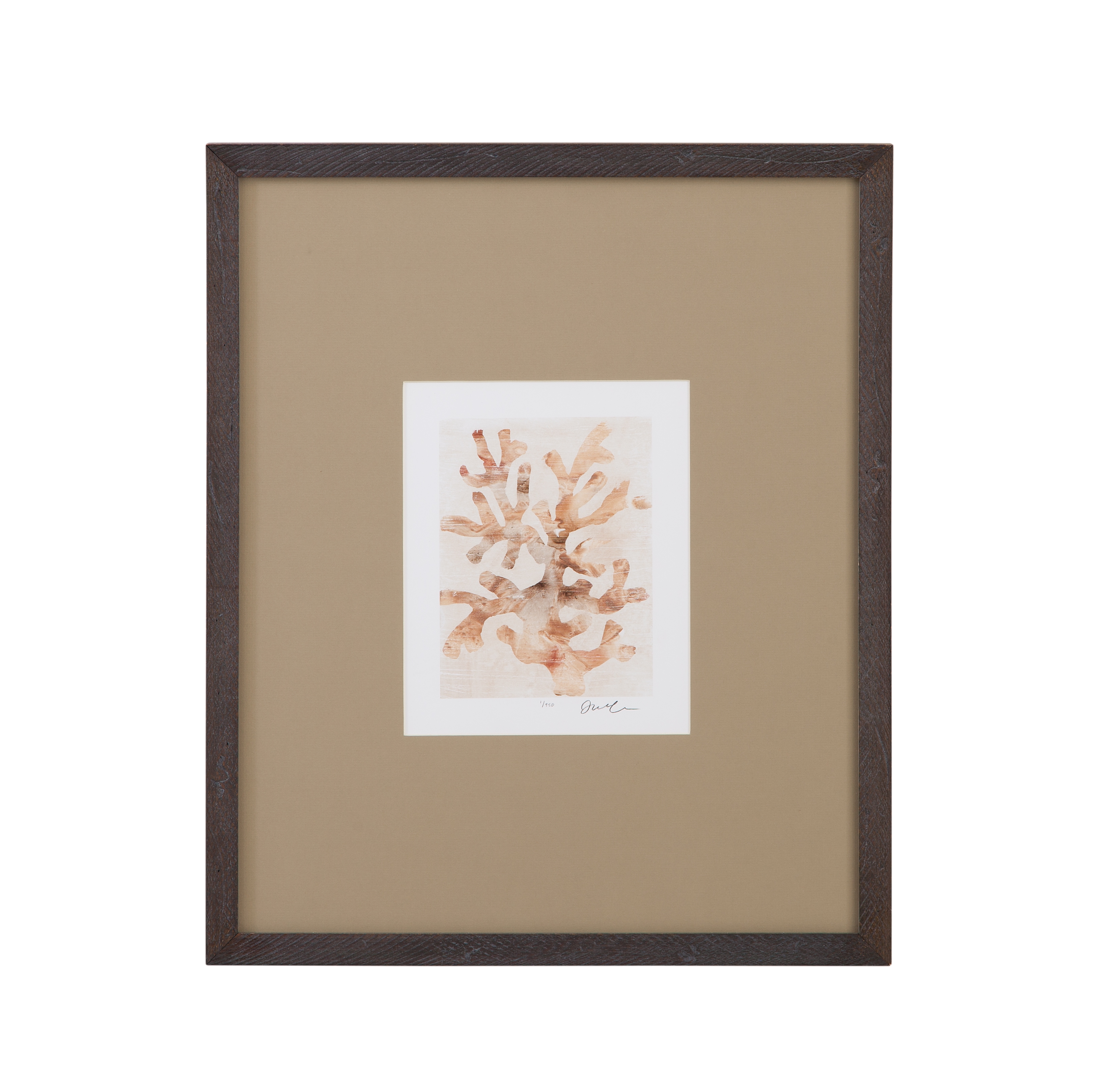 Parchment Coral I Framed Print