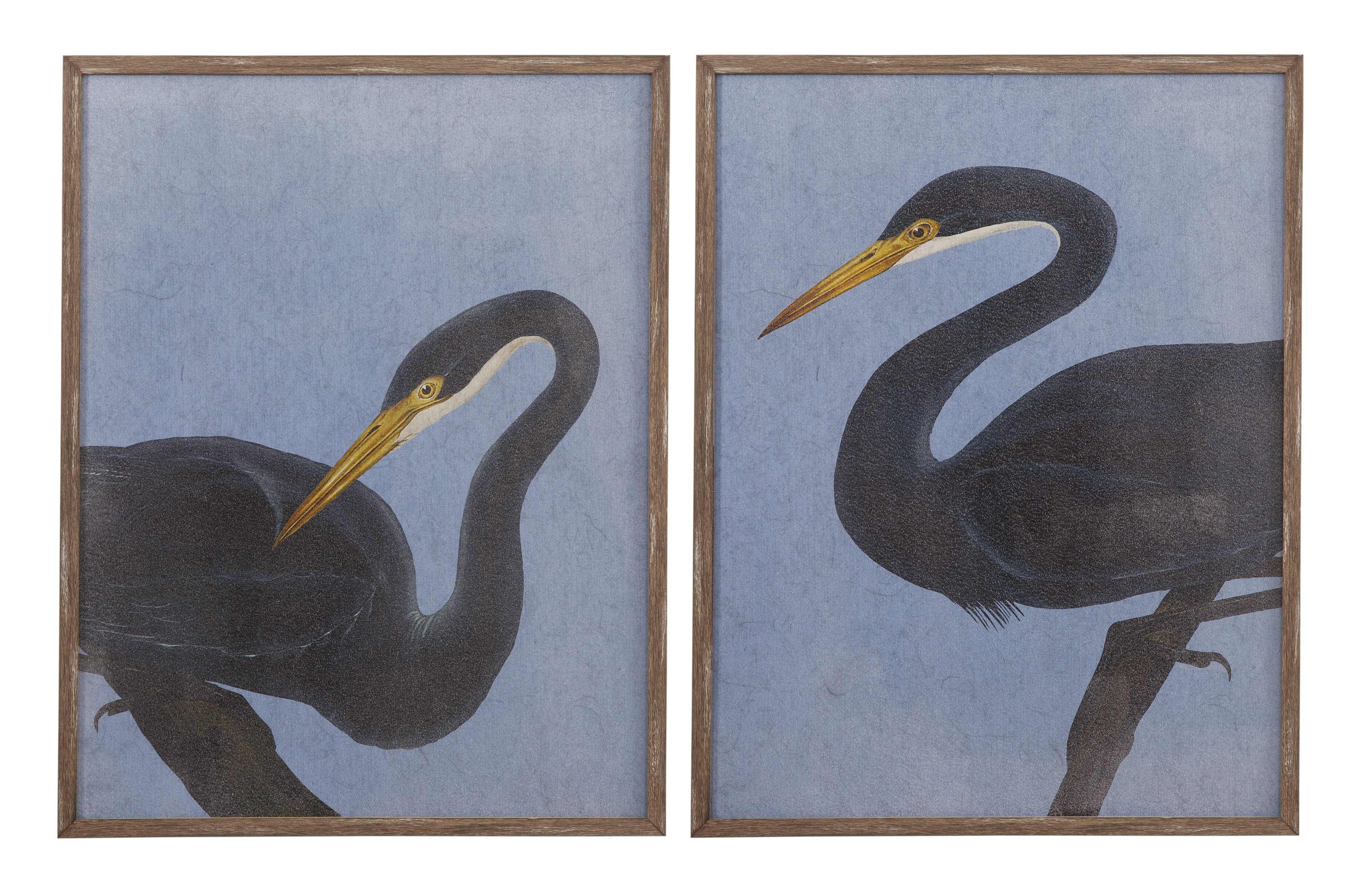 Bayou Heron Framed Print S/2