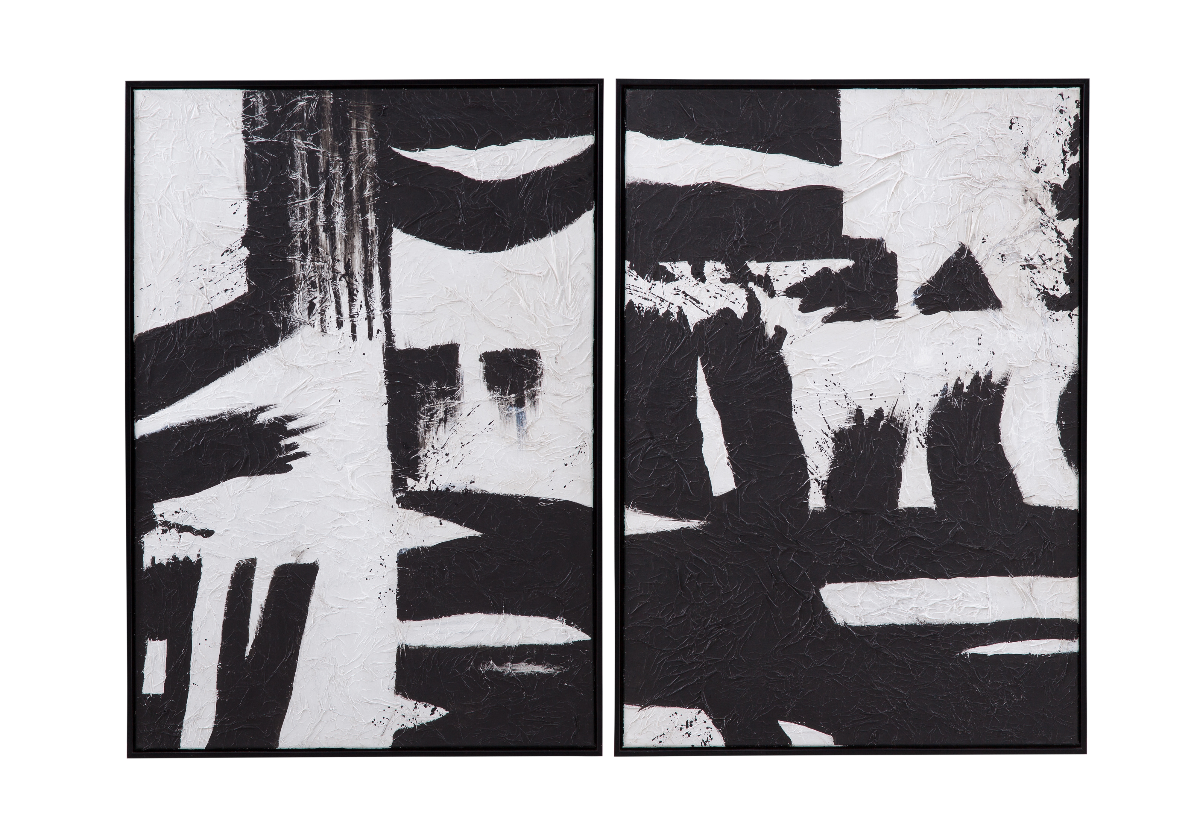 Black & White Framed Canvas Set Of 2
