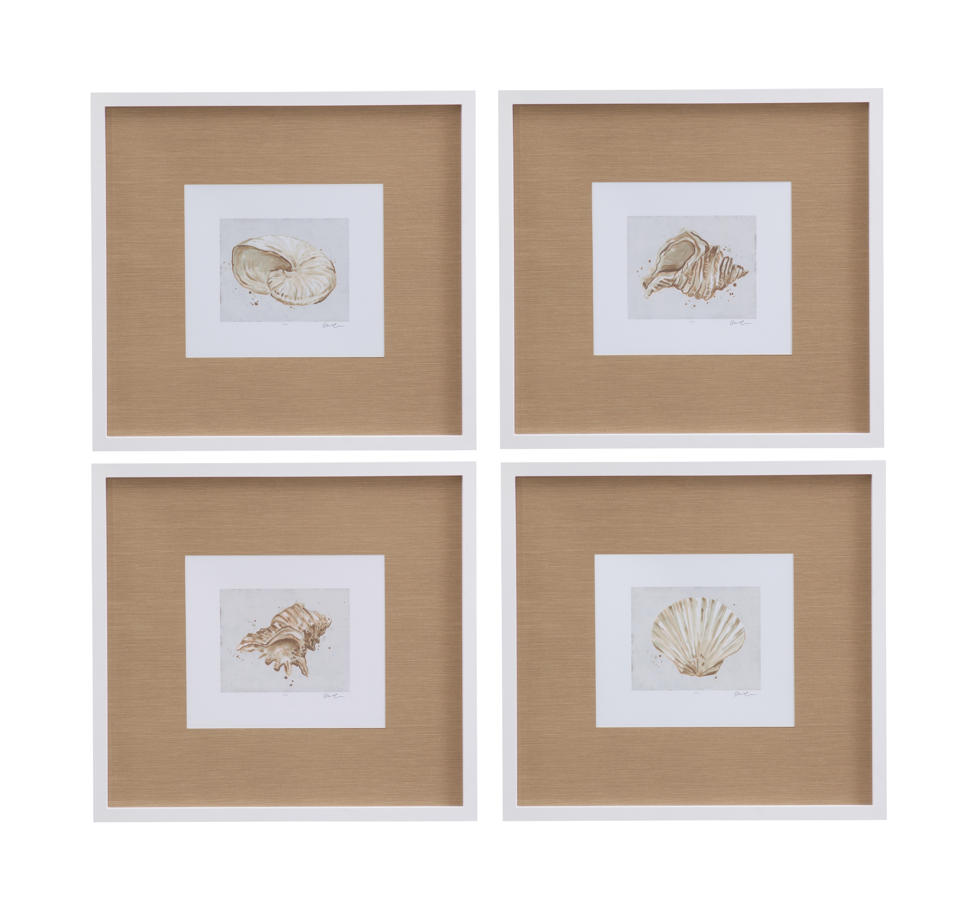 Neutral Shell Fresco Framed Print Set Of 4