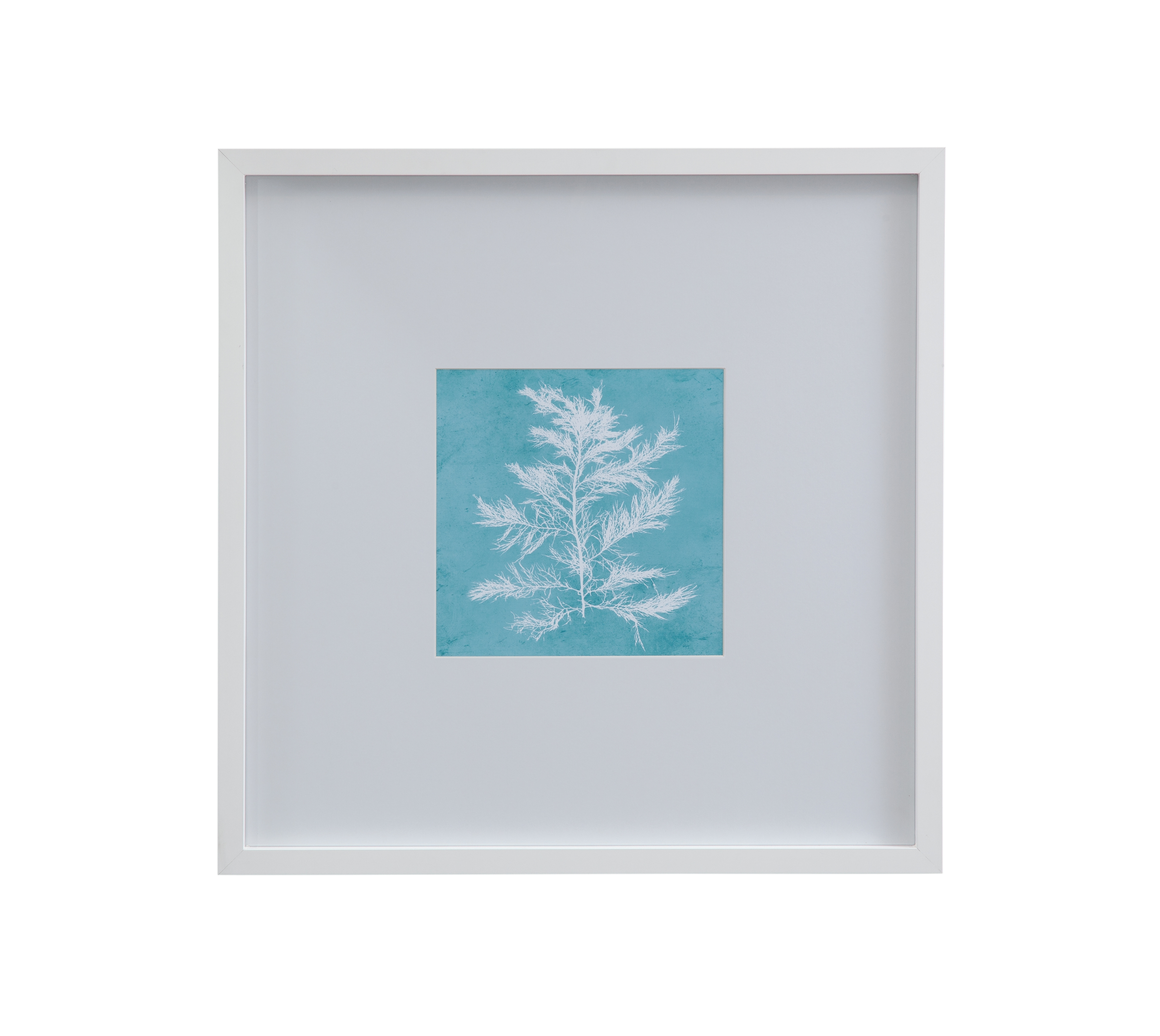 White Coral On Blue IV Framed Print