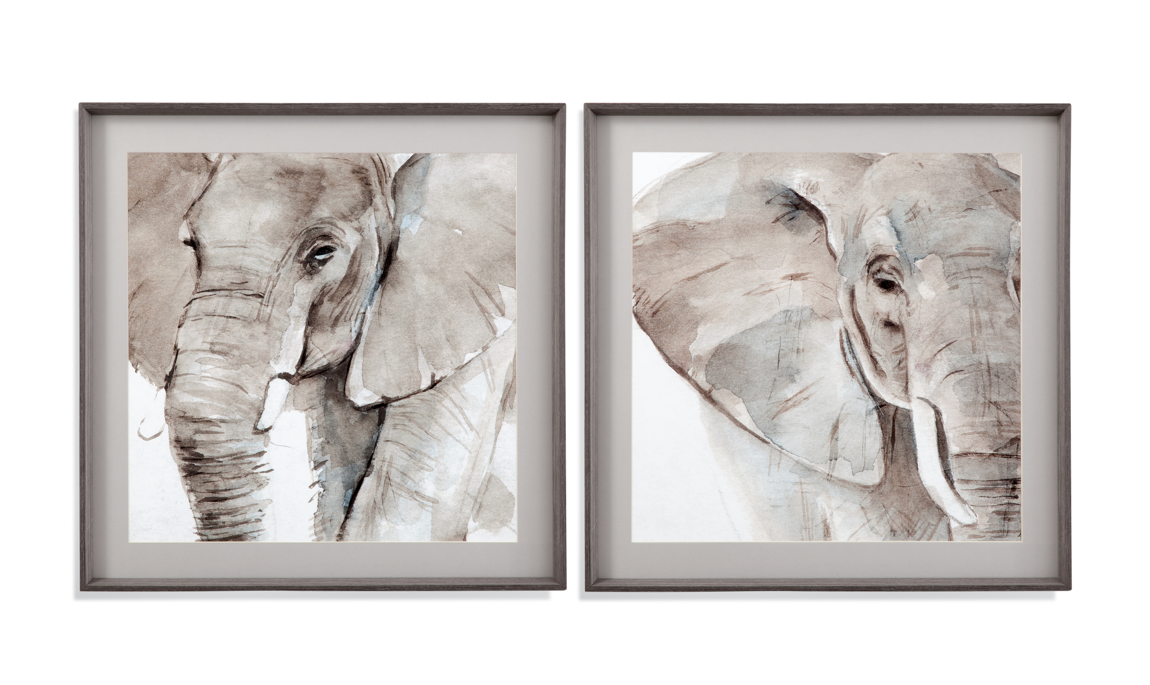 Elephant Grooves Framed Print Set Of 2