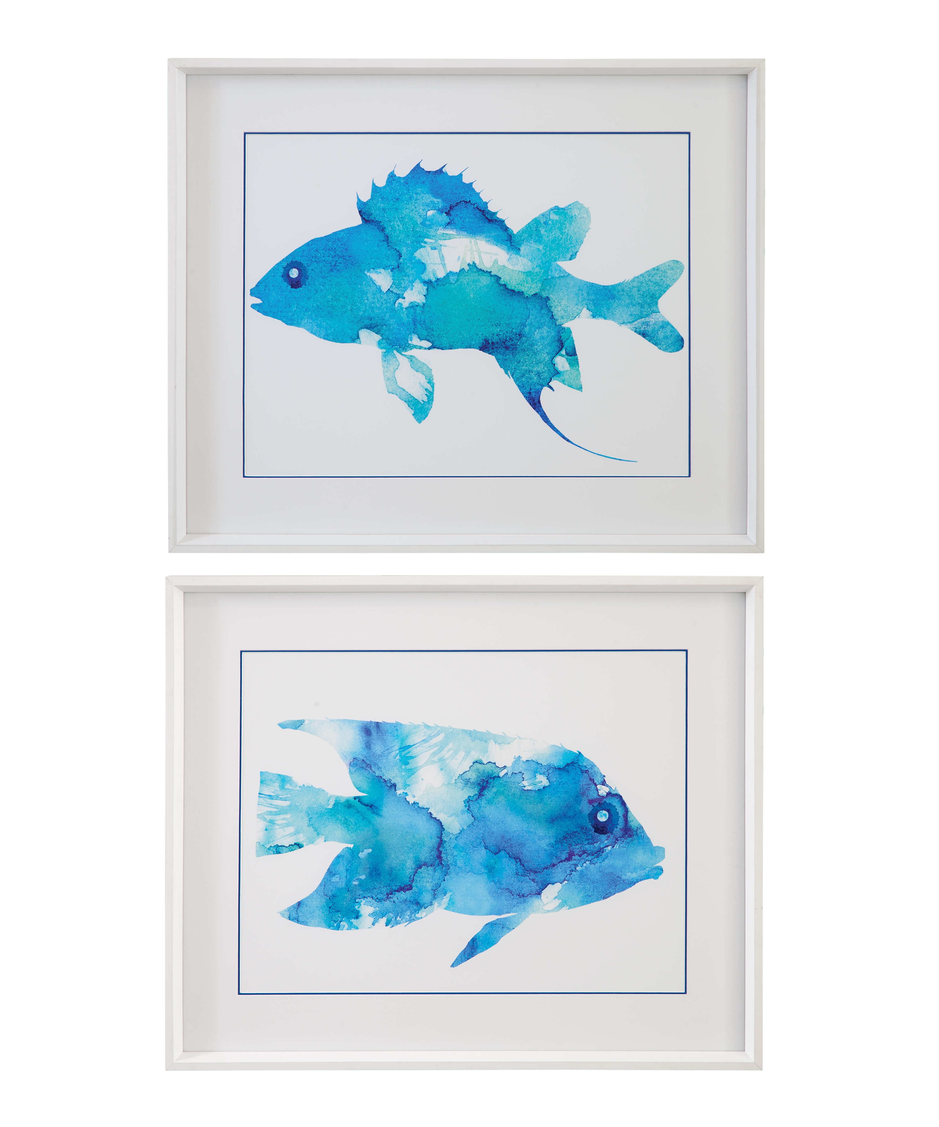 Watercolor Fish Framed Print Set Of 2