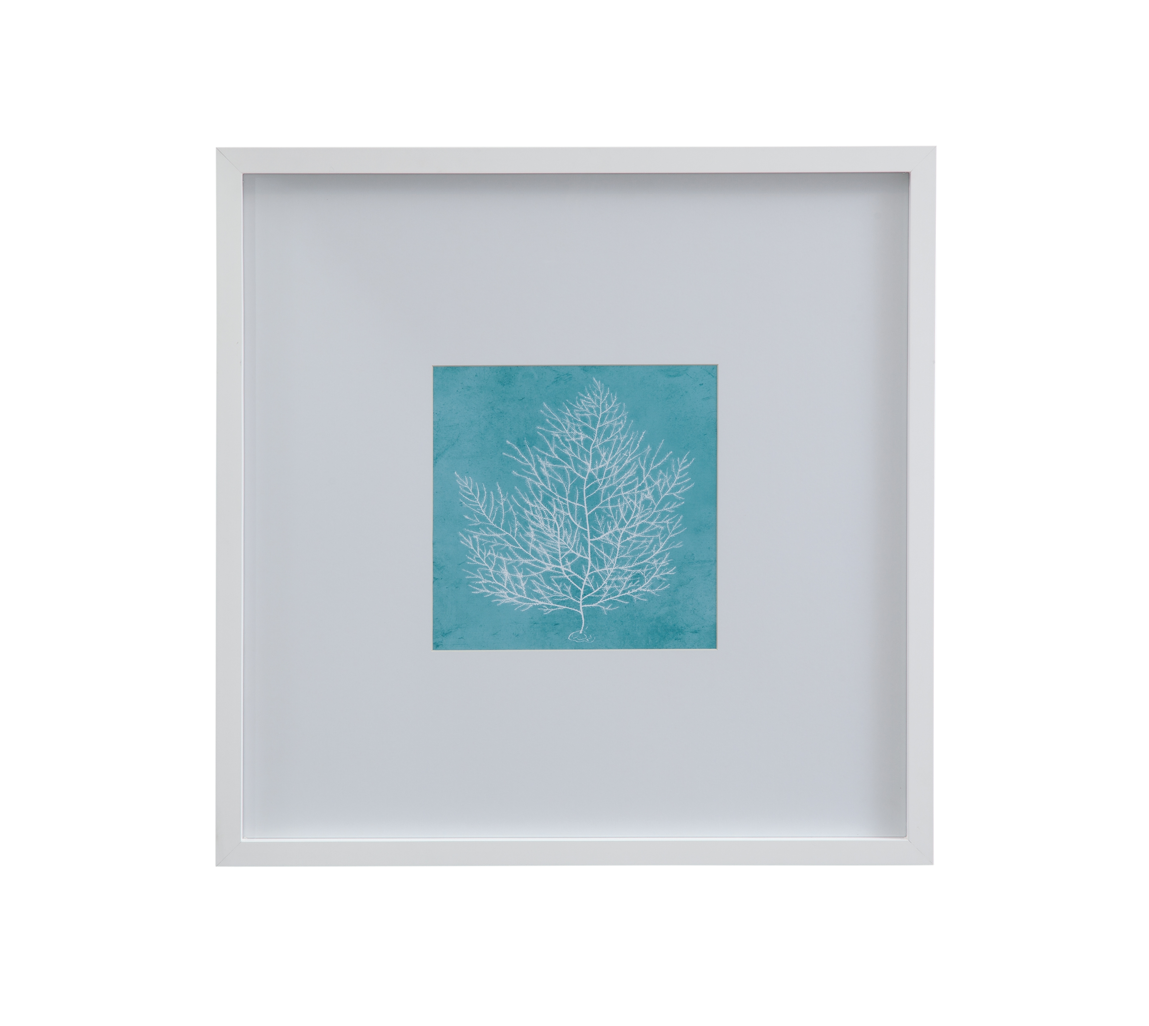 White Coral On Blue I Framed Print