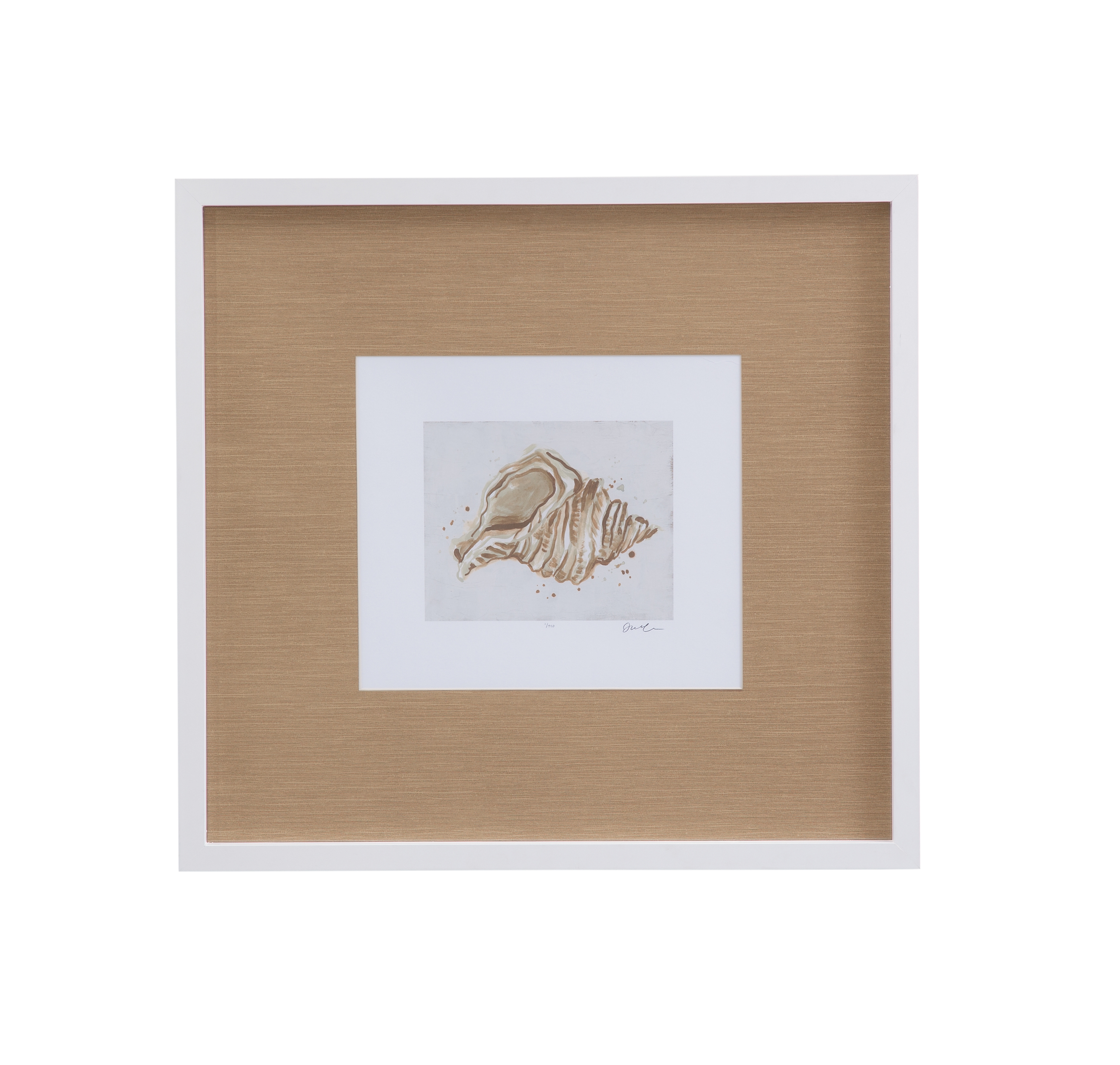 Neutral Shell Fresco II Framed Print