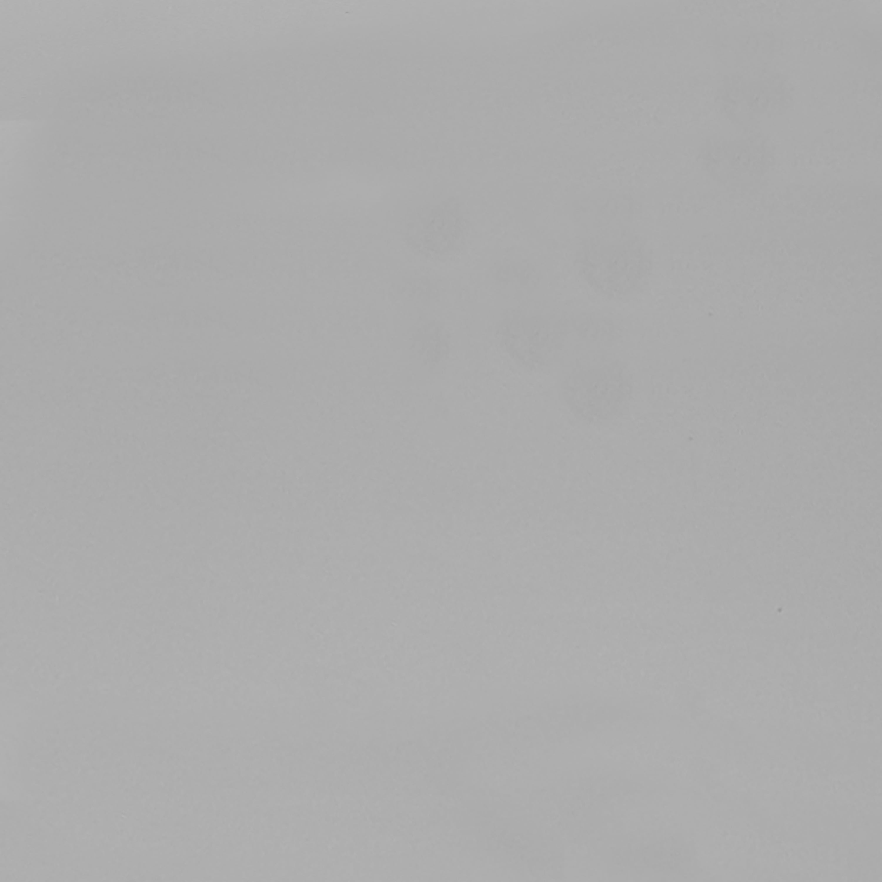 NE Kids Caspian Contemporary Full Size Wood Loft Bed with Hanging