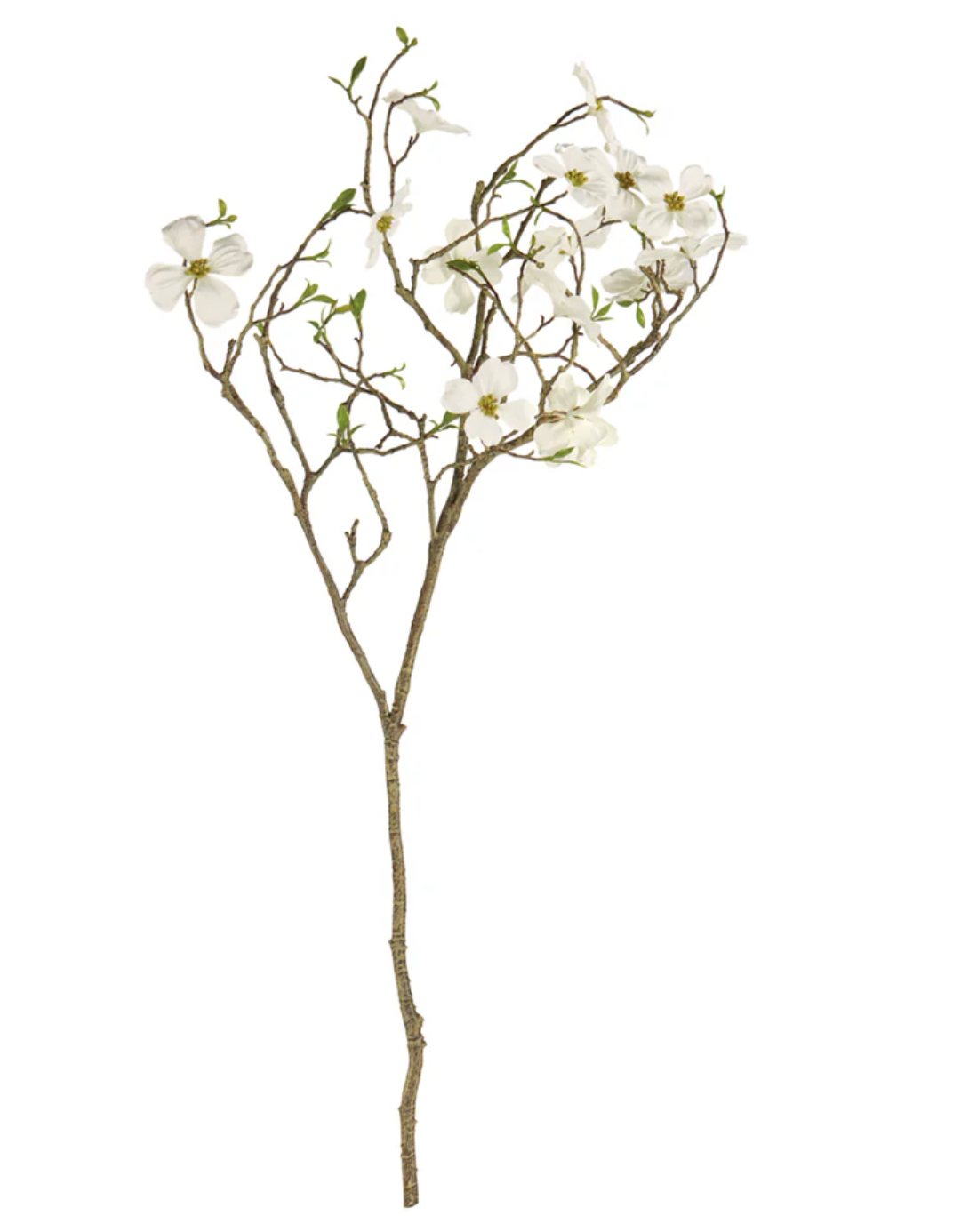 Dogwood Blossom Branch 40"
