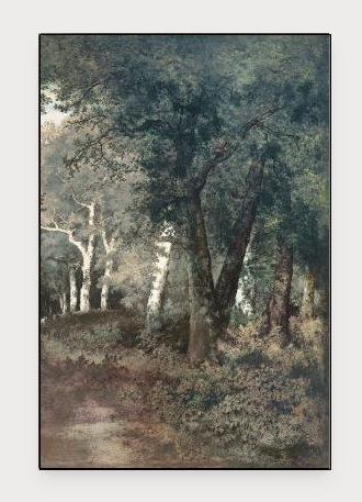 Through the Forest III