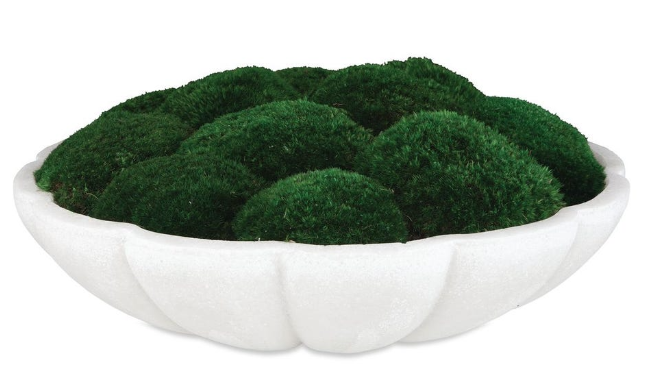 Awaken Moss Centerpiece