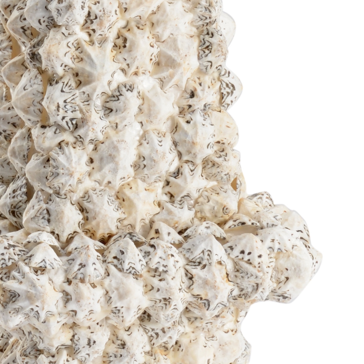 White & Black Shell Obelisk