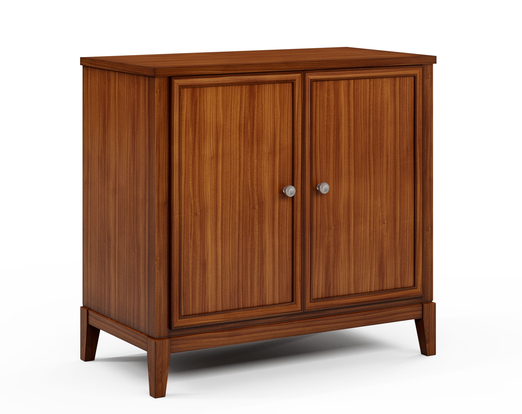 2-Door Cabinet