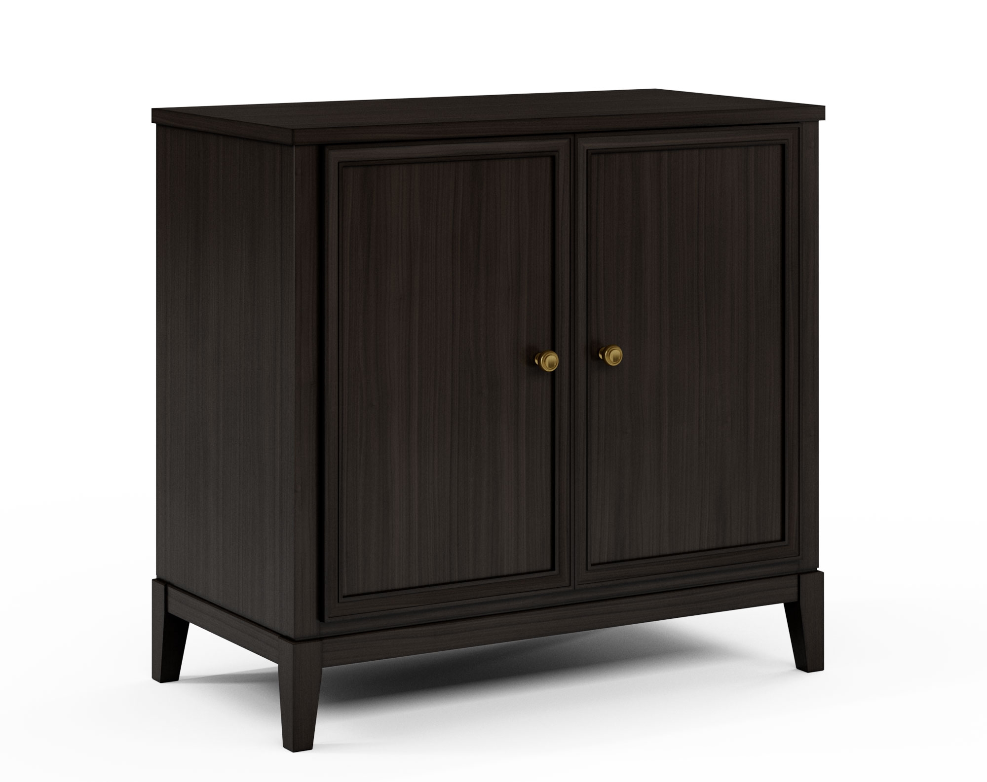 2-Door Cabinet