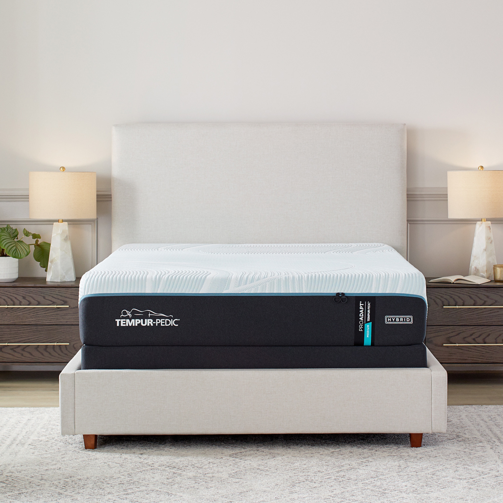 Queen Mattress