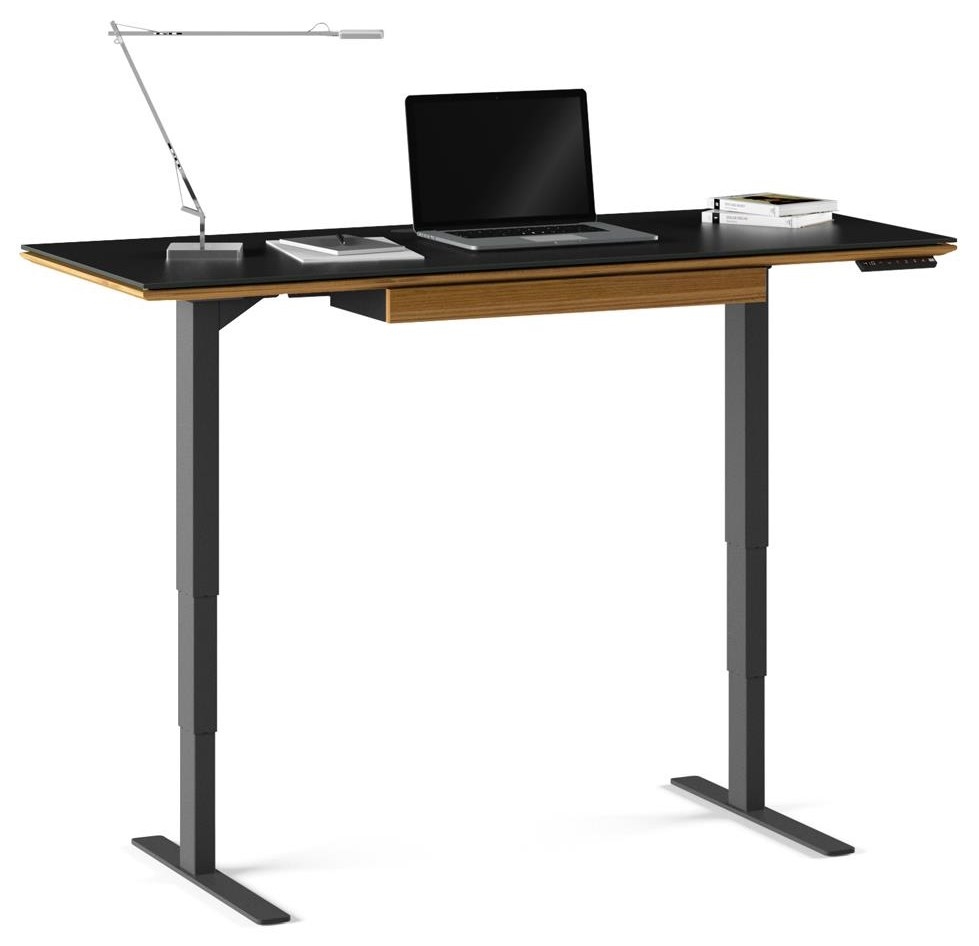Lift Standing Desk w/Keyboard Storage Drawer