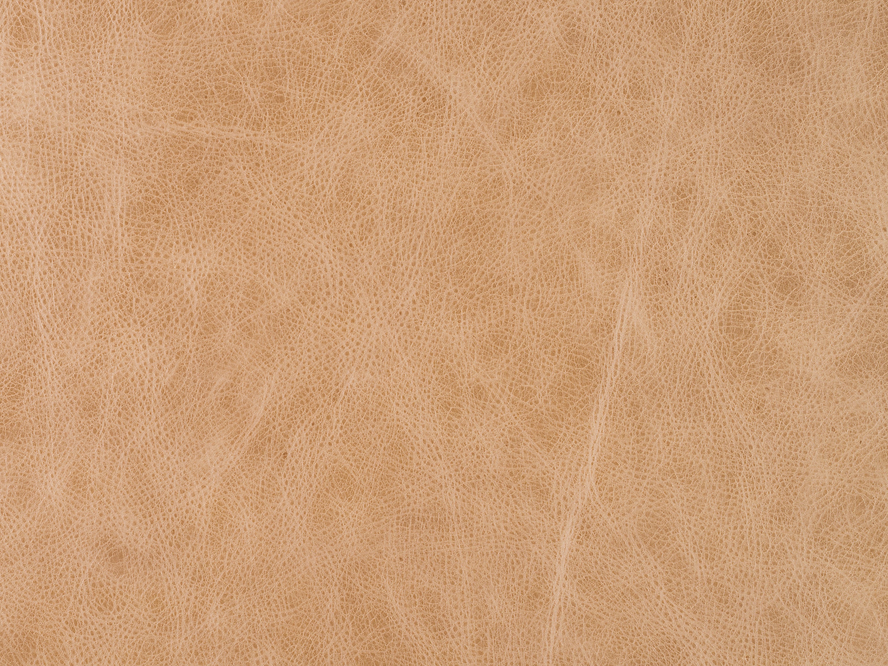 Bradington Young Yorba 923895983 Contemporary Stationary Sofa Belfort