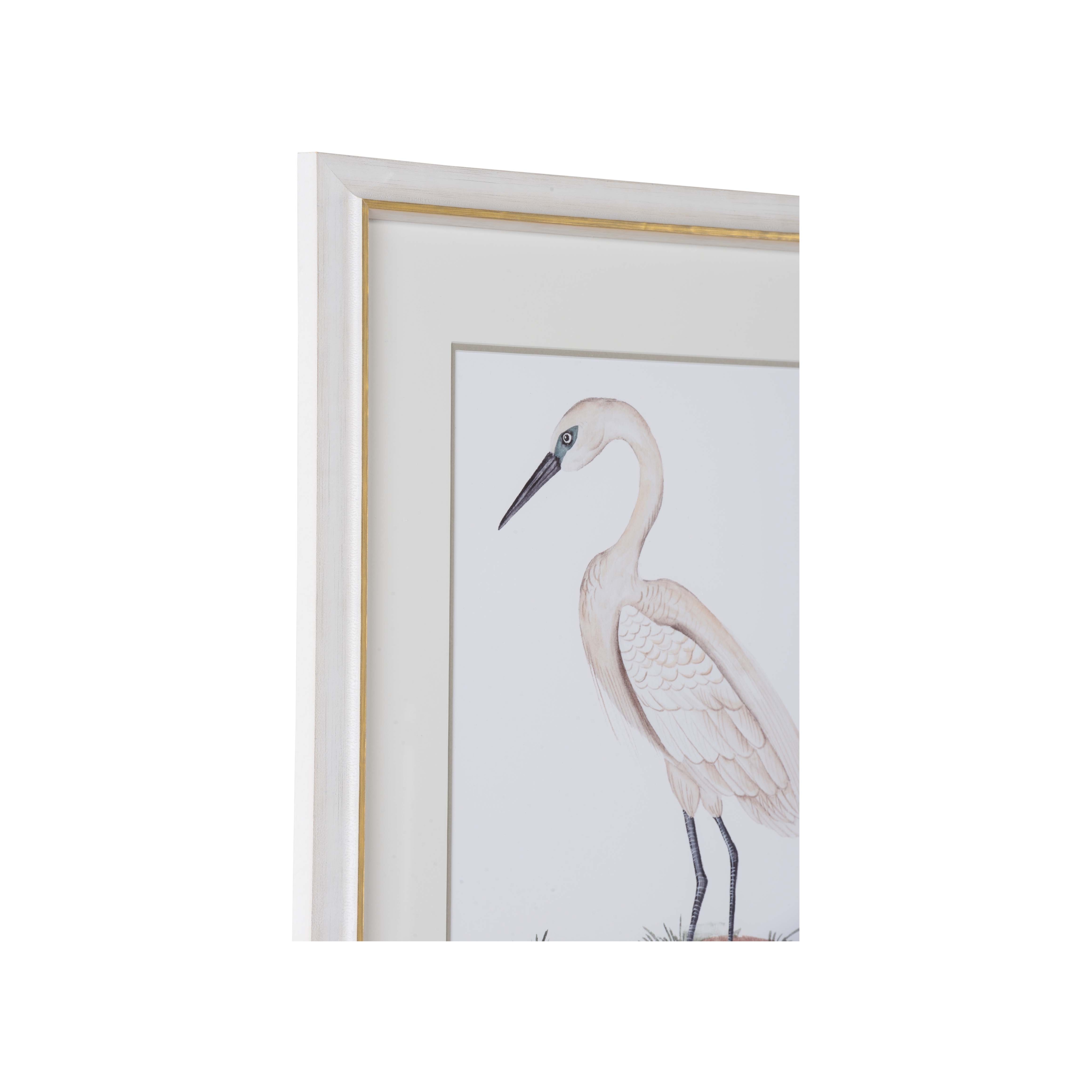 A White Heron I