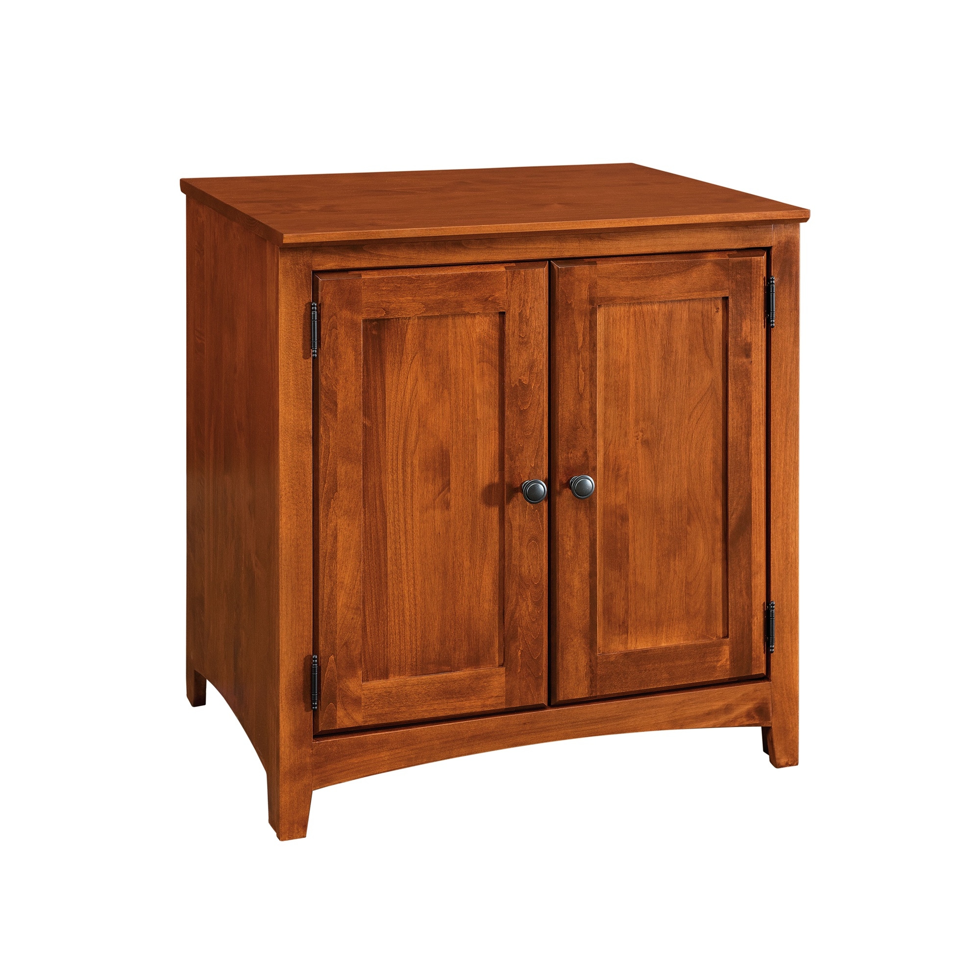 2-Door Cabinet