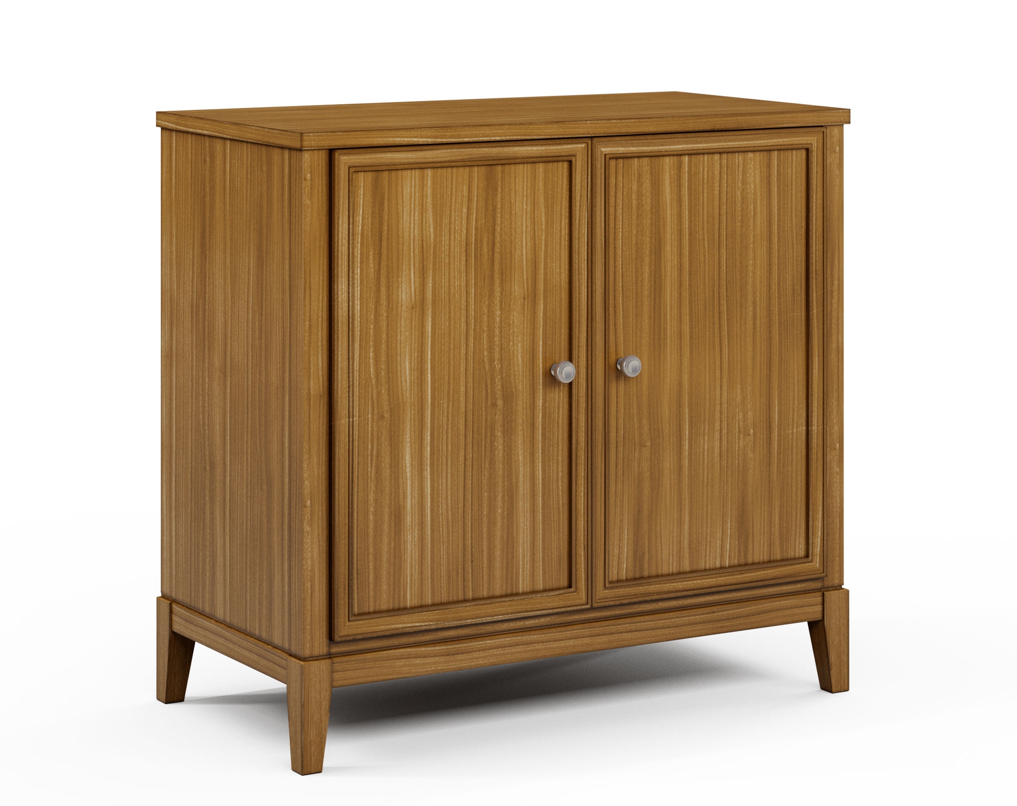 2-Door Cabinet