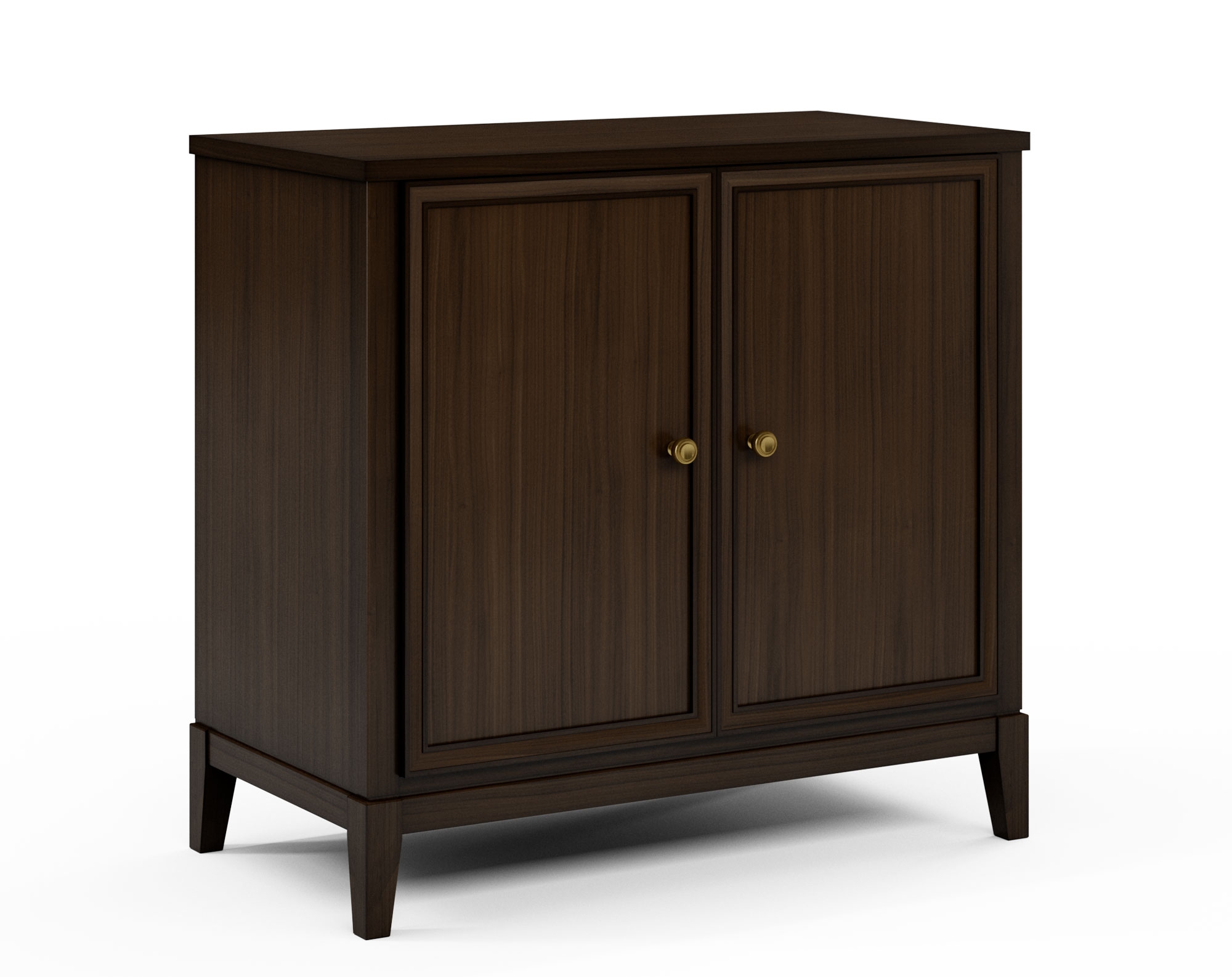 2-Door Cabinet