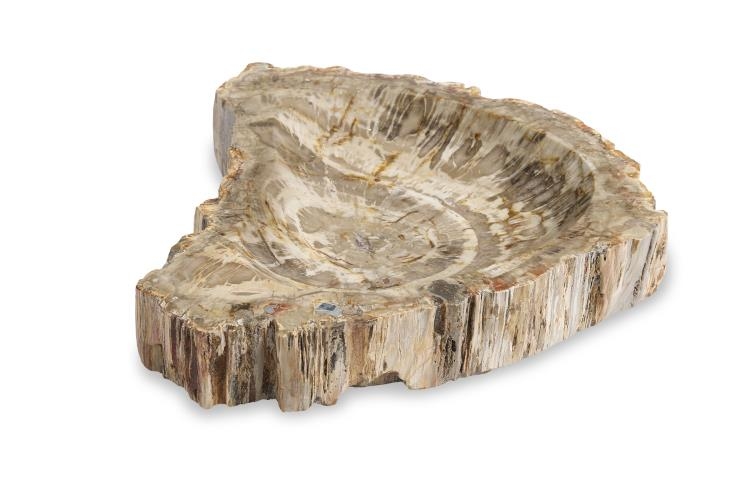 Large Brown Petrified Bowl