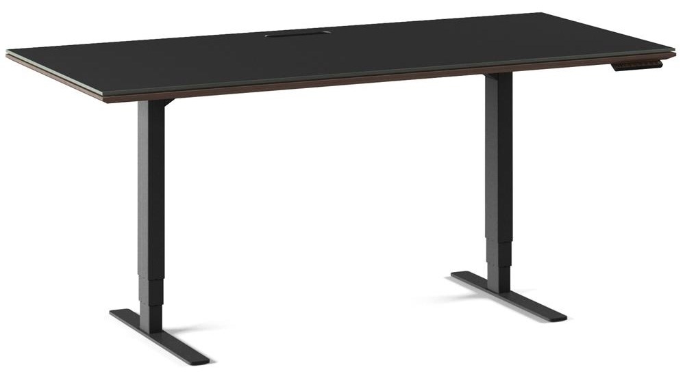 66" x 30" Power-Adj. Standing Desk