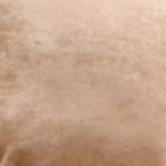 Soft Camel Upholstery Creates a Soothing Look of Contemporary Elegance