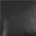Black Leather