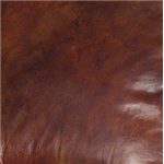Brown Leather