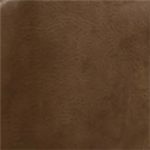 Tan Embossed Upholstery