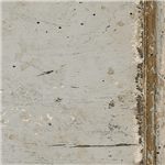 Distressed Vintage Neutral Paint