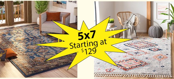 Area Rugs At Rotmans In Worcester Ma