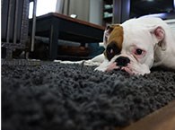 Interior Design | Ft. Lauderdale, Ft. Myers, Orlando, Naples, Miami