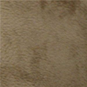 Camel 2334-36