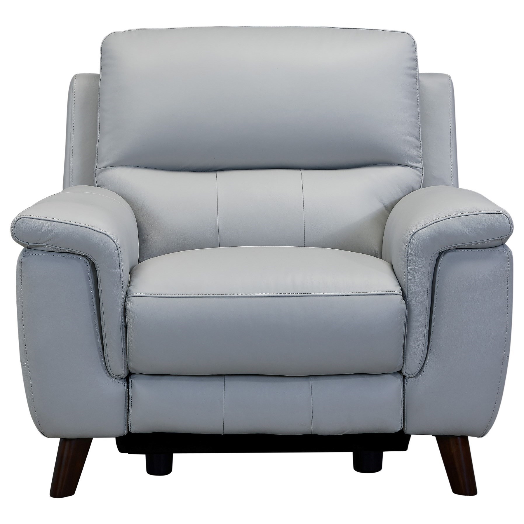Lizette Contemporary Leather Power Recliner Chair with USB Port