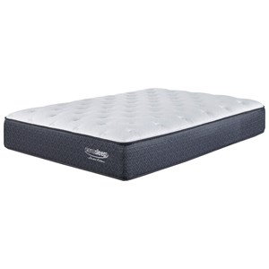Twin Mattresses Mattress Sets Phoenix Glendale Tempe Sierra Sleep Limited Edition Plush Twin 13 Mattress