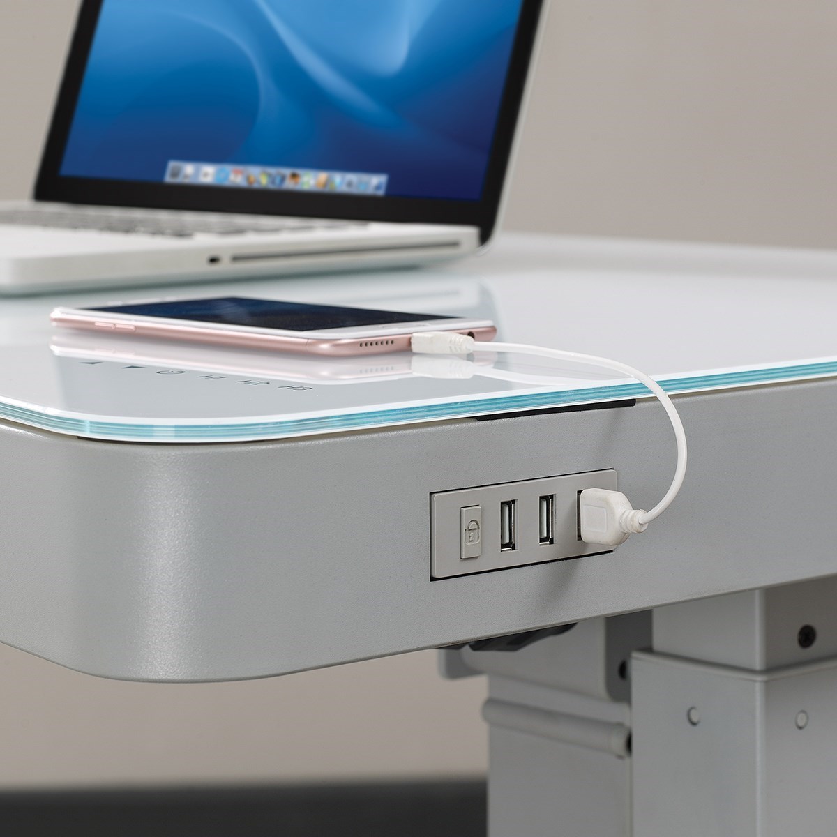 Twin Star Home Ashford Contemporary Adjustable Standing Desk with Gray