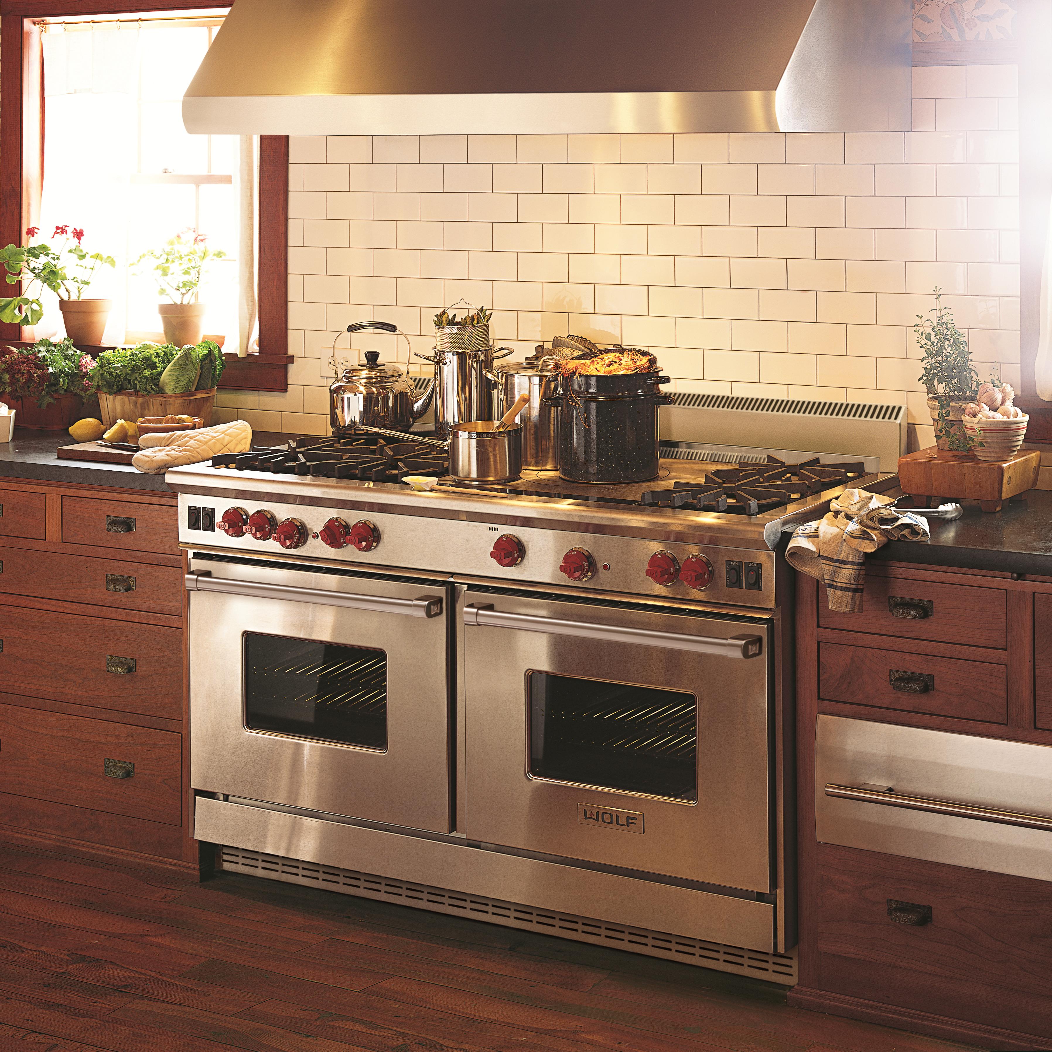 Wolf PW66241866" Pro 24" Deep Wall Ventilation Hood Furniture and ApplianceMart Range Hood