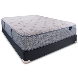 Queen Pocketed Coil Mattress Set