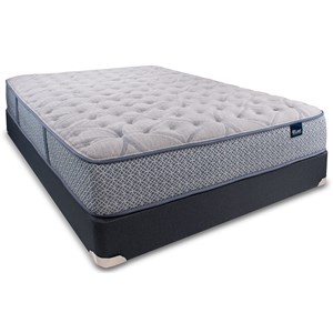 Queen Pocketed Coil Mattress Set