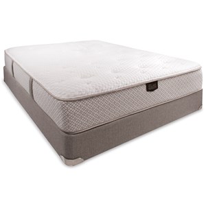 Queen Firm Mattress Set