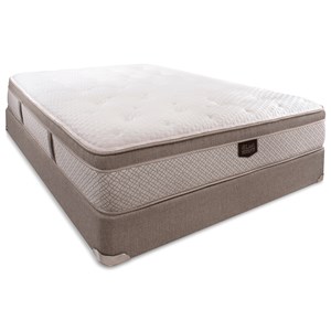 Queen Medium Plush Euro Top Set