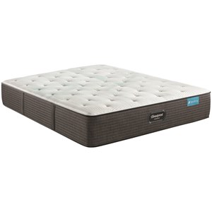 Queen 12 1/2" Medium Firm Mattress