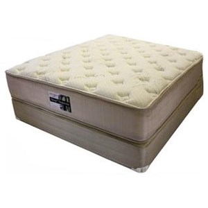 Queen Plush Two Sided Mattress Set