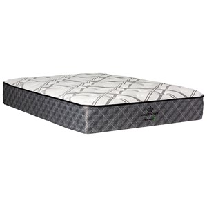 Queen Plush Coil on Coil Mattress