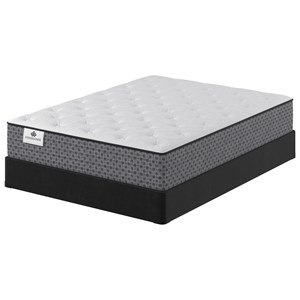 Queen Plush Mattress