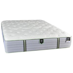 Queen Pocketed Coil Adjustable Set