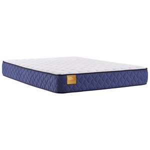 Queen 10 1/2" Cushion Firm Mattress