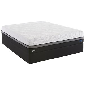 Sealy Conform Premium N11 Firm Queen 12" Firm Gel Memory Foam LP Set